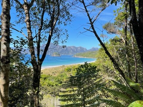 Whenua Hou island view